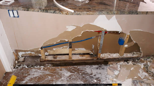 Water damage restoration mold remediation in NY