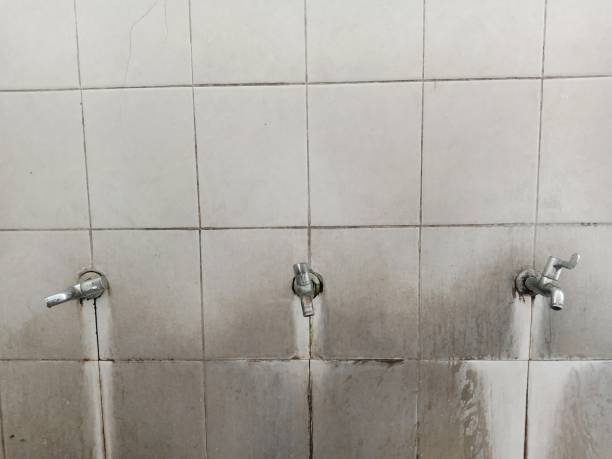Best Basement water damage restoration  in Carthage, NY
