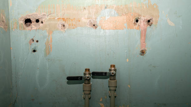 Best Ceiling water damage repair  in Carthage, NY