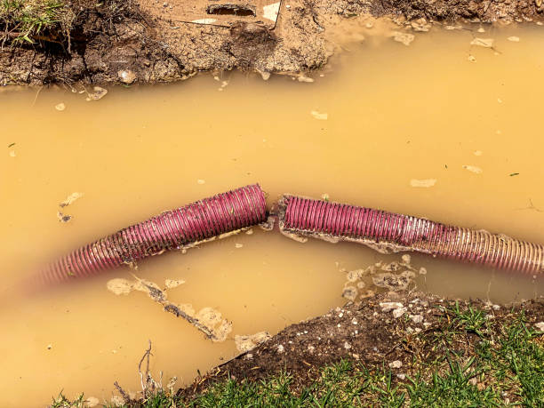 Best Residential water damage restoration  in Carthage, NY